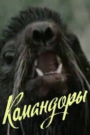 Командоры