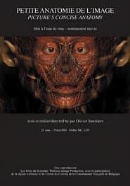 Petite anatomie de l'image