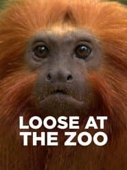Loose at the Zoo