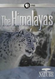 The Himalayas