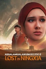 Assalamualaikum Beijing 2: Lost in Ningxia