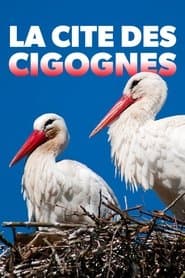 La cité des cigognes