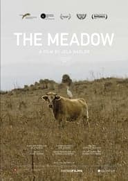 The Meadow