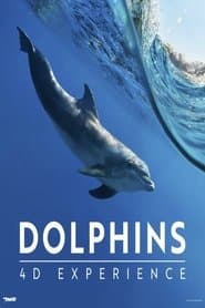 Dolphins 4-D Experience