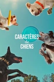 Caractères de chiens