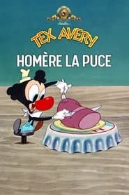 Homère la puce