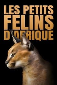 Les petits félins d'Afrique