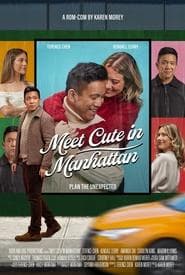 Meet Cute in Manhattan