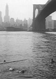 Under the Brooklyn Bridge