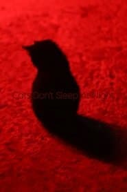 Cats Don't Sleep At Night