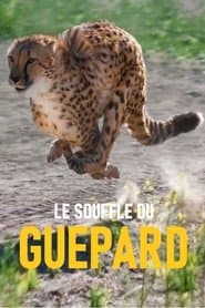 Le souffle du guépard