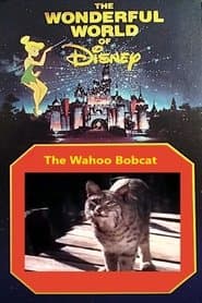 The Wahoo Bobcat