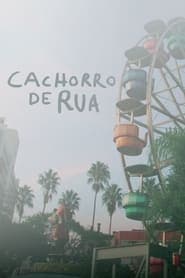 Cachorro de Rua